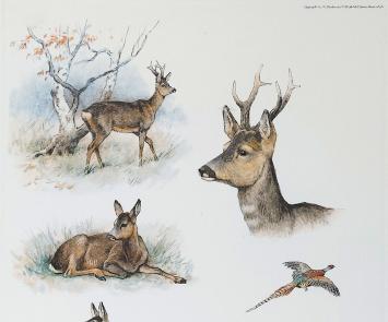 De Franse kunstenaar Georges-Frédéric Rötig