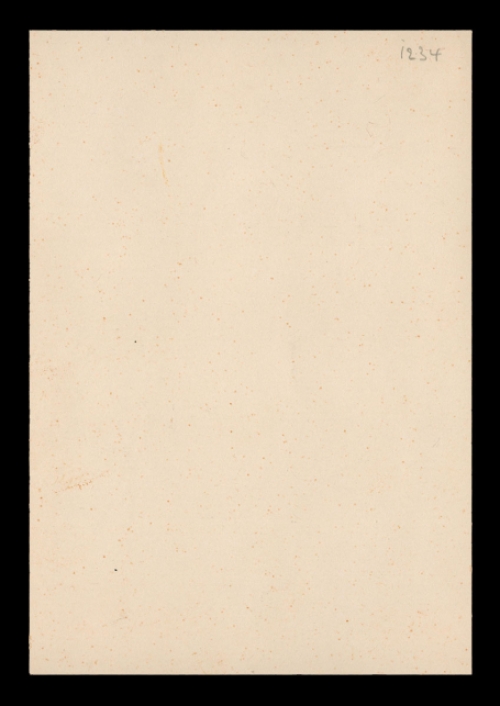 Kunstwerkje op papier van Rudi Pillen kopen