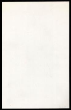 Gestileerde Wasco tekening naakte vrouw recht vooruit 1988