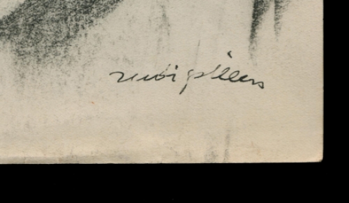 Kunstwerk van Rudi Pillen kopen