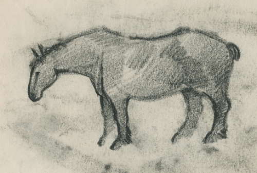 Houtskooltekening, paard (voor- en achterkant)