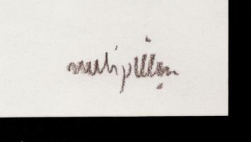 Gestileerde Wasco tekening naakte vrouw frontaal 1988