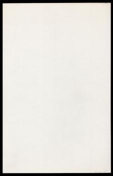 Gestileerde Wasco tekening naakte vrouw frontaal 1988