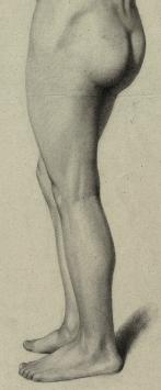 Tekening uit de 19de eeuw kopen