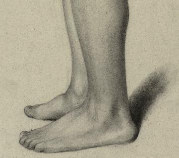 Academische naaktstudie kopen