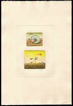 Kunstwerkjes van Roger Van Akelyen kopen