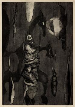 Ets van de Belgische etser Roger Van Akelyen