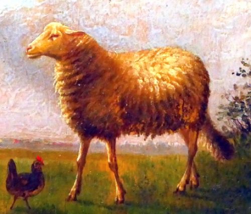 Schaap met kipjes