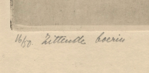 Zittende boerin 16/50