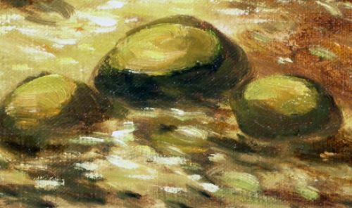 Paul Schouten broer van Henry Schouten