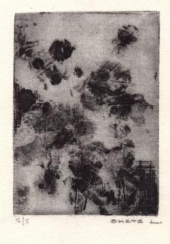 Grafisch kunstwerk kopen van L. Smets