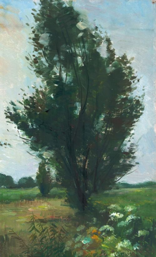 De Nederlandse kunstenaar Steef Wijnhoven