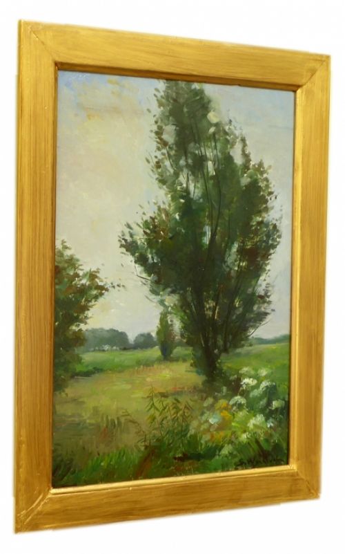 éénzame boom in landschap