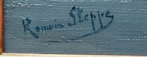 De Schelde door Romain Steppe