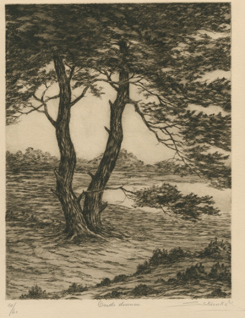 Belgische kunstenaar Jos Stokbroekx