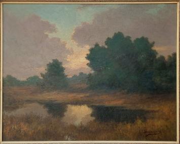 Belgische kunstenaar Jos Stokbroekx, het moeras