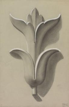 Acanthusblad van Nederlandse kunstenaar Jacobus Storm