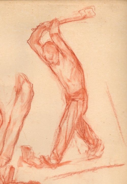 Dessin de Jules Pierre van Biesbroeck (Jr)