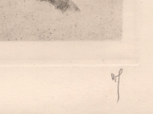 Krachtig uitgewerkt mannenhoofd