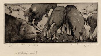 Etsen , symbole en pour eux les glands