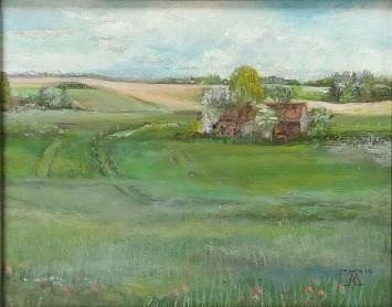 Zicht op Waals Brabants landschap