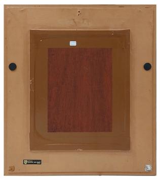 Belgische kunstschilder Jos Trotteyn