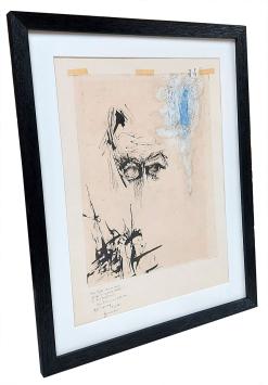 De indringende blik 1966