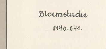 Kanaal en Bloemstudie