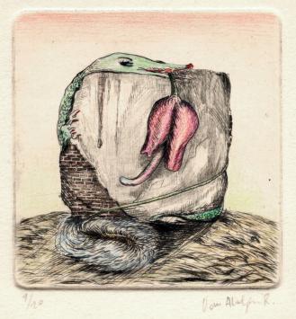 De Belgische kunstenaar Roger Van Akelyen