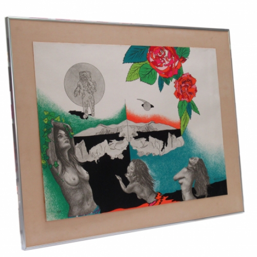 Dames, bloemen en de ruimte 11/80 1978