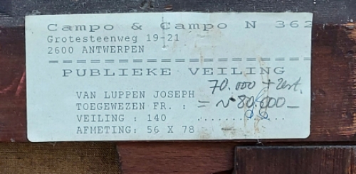 Drinkende en grazende koeien aan een ven