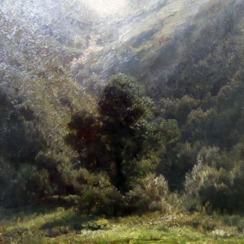 Vue prise a Wausort 1875