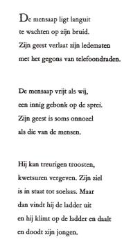 De mensaap ligt languit