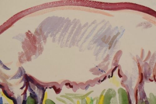 Dieren van Freek van den Berg