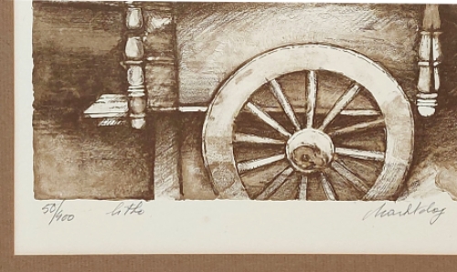 Litho kopen van Veerle Rooms