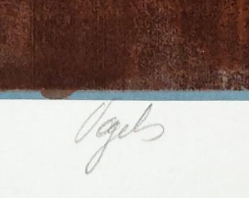 Vogels van Veerle Rooms