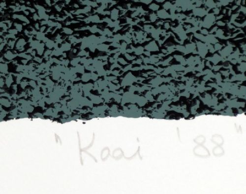 Belgische litho van Veerle Dupont