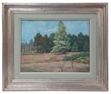 Landschapje geschilderd door Emeri Vercruyssen
