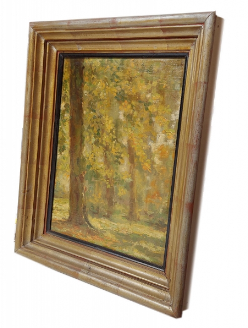 Schilderij kopen van de Belgische kunstenaar Vic Dooms