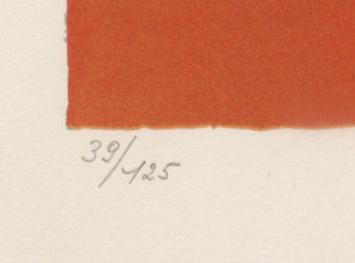 De complexe wereld 39/125