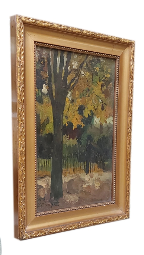 Bomen aan het parkje