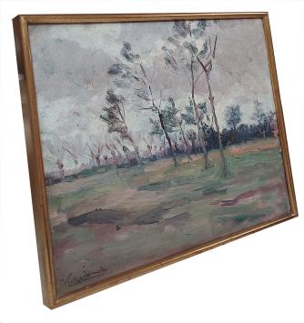 Bomen en knotwilgen in een landschap