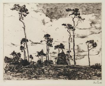 Grafisch kunstwerk van Willem de Zwart  kopen