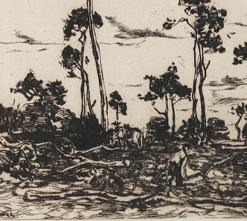 Hakhout laden van De Zwart