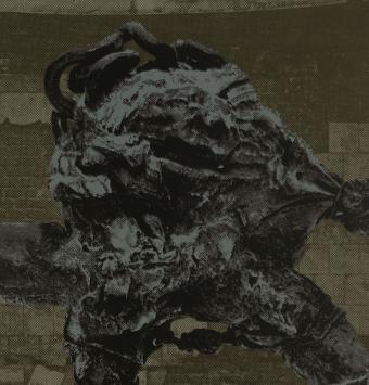 Kunstwerk van Wilfried Pas kopen