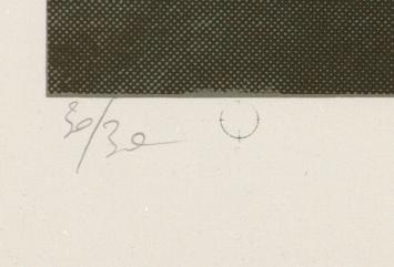 Belgische graficus Wilfried Pas