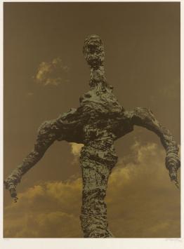 Offset print van Wilfried Pas kopen