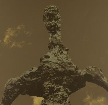 Kunstwerk van Wilfried Pas kopen