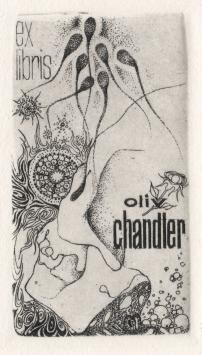 Belgische graficus Walter F. Brems