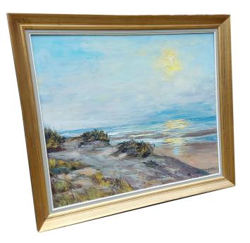 Groot zeezicht met strand en duinen